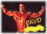david.jpg (10448 bytes)